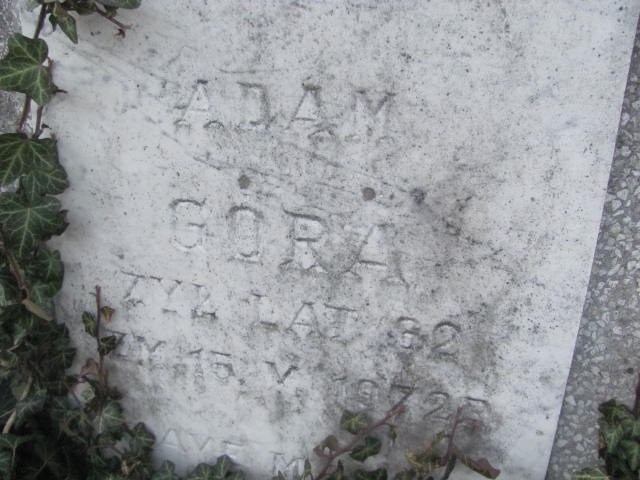 Adam Góra 1904 Tum - Grobonet - Wyszukiwarka osób pochowanych